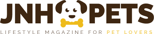 My Blog